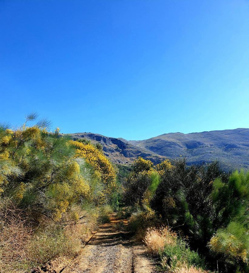 فندق One Life Malaga Retreat Periana المظهر الخارجي الصورة