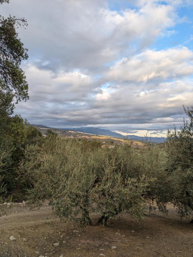 فندق One Life Malaga Retreat Periana المظهر الخارجي الصورة